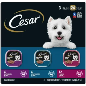 Cesar Filets In Gravy Variety Pack Wet Dog Food For Adult Dogs
