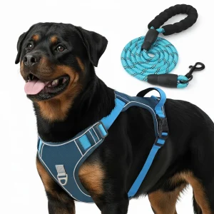PcEoTllar Dog Harness and Leash Combo